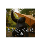 夏キャンプを楽しむゴリラ（個別スタンプ：24）