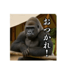 夏キャンプを楽しむゴリラ（個別スタンプ：26）