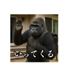 夏キャンプを楽しむゴリラ（個別スタンプ：28）