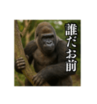 夏キャンプを楽しむゴリラ（個別スタンプ：35）