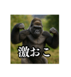 夏キャンプを楽しむゴリラ（個別スタンプ：39）