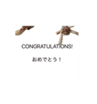 HONEY HOT TEAの賑やかSTAMP（個別スタンプ：5）
