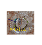 HONEY HOT TEAの賑やかSTAMP（個別スタンプ：7）