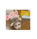 動くメル⑩（個別スタンプ：2）