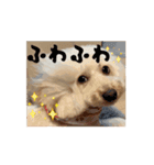動くメル⑩（個別スタンプ：4）