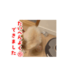 動くメル⑩（個別スタンプ：5）