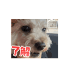 動くメル⑩（個別スタンプ：8）