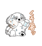 動くB＆Wのシーズー犬 2025 「暑い夏」（個別スタンプ：1）