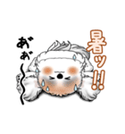 動くB＆Wのシーズー犬 2025 「暑い夏」（個別スタンプ：2）