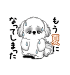 動くB＆Wのシーズー犬 2025 「暑い夏」（個別スタンプ：3）