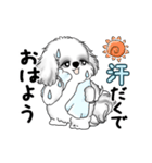動くB＆Wのシーズー犬 2025 「暑い夏」（個別スタンプ：4）