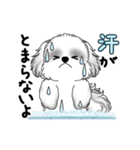 動くB＆Wのシーズー犬 2025 「暑い夏」（個別スタンプ：5）