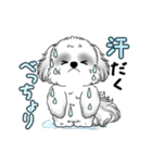 動くB＆Wのシーズー犬 2025 「暑い夏」（個別スタンプ：6）