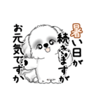動くB＆Wのシーズー犬 2025 「暑い夏」（個別スタンプ：7）