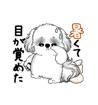 動くB＆Wのシーズー犬 2025 「暑い夏」（個別スタンプ：8）
