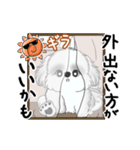 動くB＆Wのシーズー犬 2025 「暑い夏」（個別スタンプ：10）
