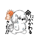 動くB＆Wのシーズー犬 2025 「暑い夏」（個別スタンプ：11）