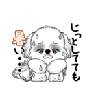 動くB＆Wのシーズー犬 2025 「暑い夏」（個別スタンプ：13）