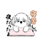 動くB＆Wのシーズー犬 2025 「暑い夏」（個別スタンプ：14）