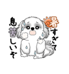 動くB＆Wのシーズー犬 2025 「暑い夏」（個別スタンプ：15）