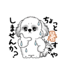動くB＆Wのシーズー犬 2025 「暑い夏」（個別スタンプ：16）