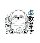 動くB＆Wのシーズー犬 2025 「暑い夏」（個別スタンプ：17）