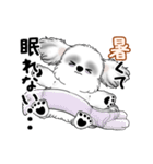 動くB＆Wのシーズー犬 2025 「暑い夏」（個別スタンプ：18）