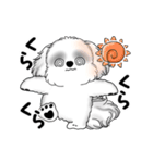 動くB＆Wのシーズー犬 2025 「暑い夏」（個別スタンプ：19）