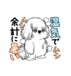 動くB＆Wのシーズー犬 2025 「暑い夏」（個別スタンプ：20）