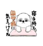 動くB＆Wのシーズー犬 2025 「暑い夏」（個別スタンプ：21）