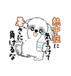 動くB＆Wのシーズー犬 2025 「暑い夏」（個別スタンプ：22）