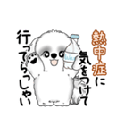 動くB＆Wのシーズー犬 2025 「暑い夏」（個別スタンプ：23）