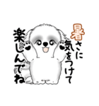動くB＆Wのシーズー犬 2025 「暑い夏」（個別スタンプ：24）
