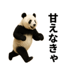 エッホエッホ 伝えなきゃ 動物園の仲間たち（個別スタンプ：6）