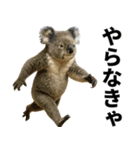 エッホエッホ 伝えなきゃ 動物園の仲間たち（個別スタンプ：8）