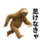 エッホエッホ 伝えなきゃ 動物園の仲間たち（個別スタンプ：11）