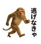 エッホエッホ 伝えなきゃ 動物園の仲間たち（個別スタンプ：13）