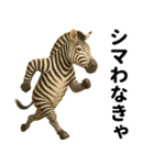 エッホエッホ 伝えなきゃ 動物園の仲間たち（個別スタンプ：14）