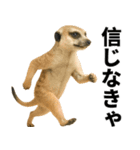 エッホエッホ 伝えなきゃ 動物園の仲間たち（個別スタンプ：15）