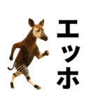 エッホエッホ 伝えなきゃ 動物園の仲間たち（個別スタンプ：21）