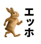 エッホエッホ 伝えなきゃ 動物園の仲間たち（個別スタンプ：22）