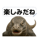 コモドドラゴン【コモドオオトカゲ】（個別スタンプ：15）