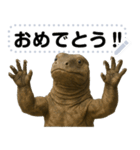 コモドドラゴン【コモドオオトカゲ】（個別スタンプ：16）