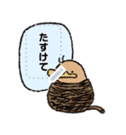 メッセージ カモノハシの橋下さん（個別スタンプ：13）