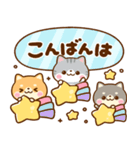 仲良し猫ちゃん♡豆柴犬ちゃん（個別スタンプ：3）