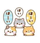 仲良し猫ちゃん♡豆柴犬ちゃん（個別スタンプ：5）
