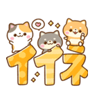 仲良し猫ちゃん♡豆柴犬ちゃん（個別スタンプ：9）
