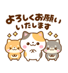 仲良し猫ちゃん♡豆柴犬ちゃん（個別スタンプ：12）