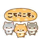 仲良し猫ちゃん♡豆柴犬ちゃん（個別スタンプ：17）
