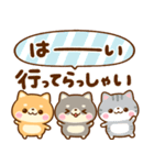 仲良し猫ちゃん♡豆柴犬ちゃん（個別スタンプ：20）
